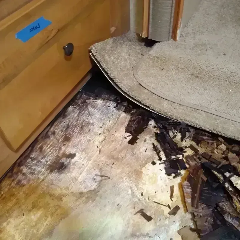 Best Wood Floor Water Damage Service in Mount Lebanon, PA